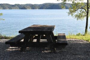 picnic, picnic table, outdoor lunch